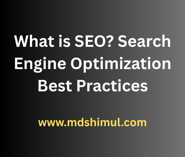 What is SEO Search Engine Optimization Best Practices
