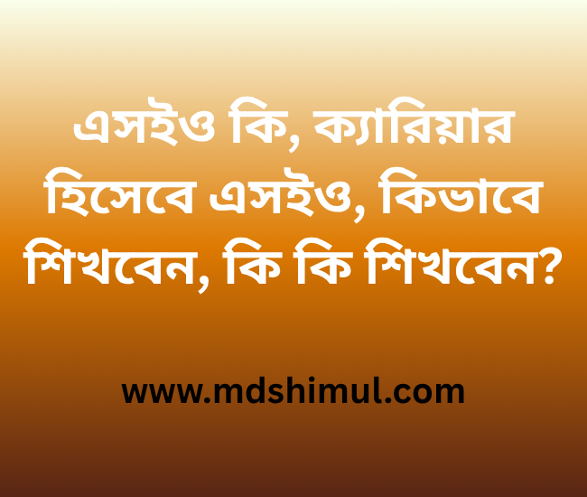 এসইও কি, ক্যারিয়ার হিসেবে এসইও, কিভাবে শিখবেন, কি কি শিখবেন