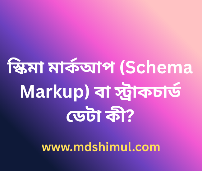 স্কিমা মার্কআপ (Schema Markup) বা স্ট্রাকচার্ড ডেটা কী