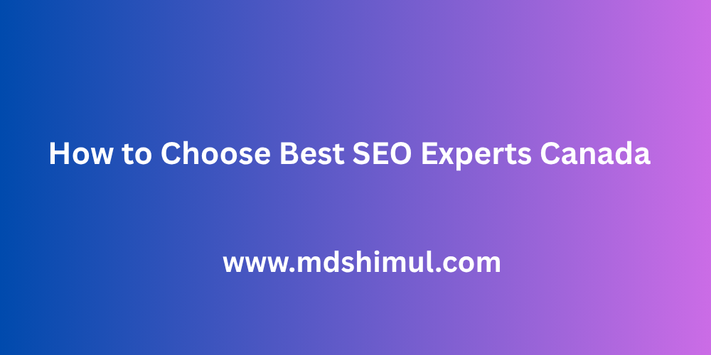 How to Choose Best SEO Experts Canada