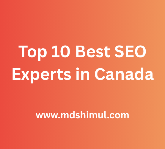 Top 10 Best SEO Experts in Canada