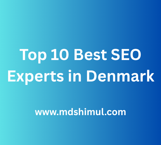 Top 10 Best SEO Experts in Denmark -Top 10 in 2025