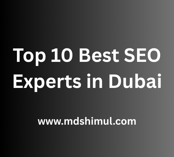 Top 10 Best SEO Experts in Dubai