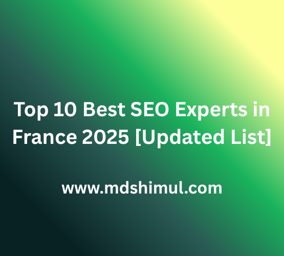 Top 10 Best SEO Experts in France 2025 [Updated List]