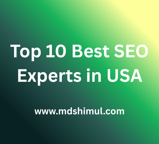 Top 10 Best SEO Experts in USA