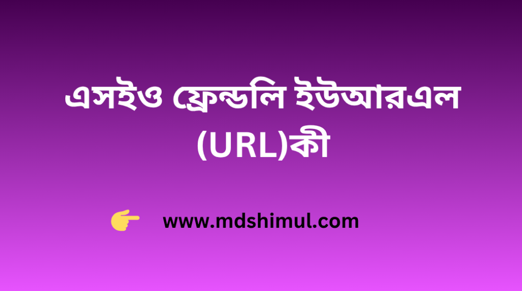 এসইও ফ্রেন্ডলি ইউআরএল (URL)কী