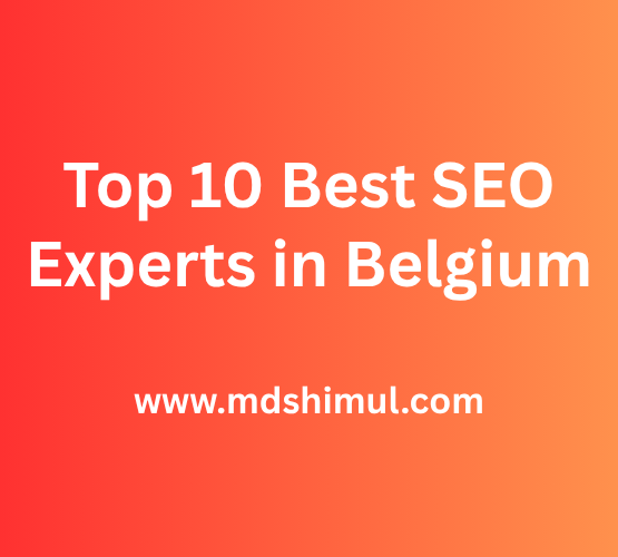 Top 10 Best SEO Experts in Belgium
