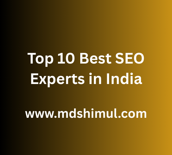 Top 10 Best SEO Experts in India – Top 10 in 2025