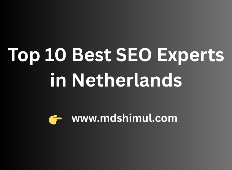 Top 10 Best SEO Experts in Netherlands