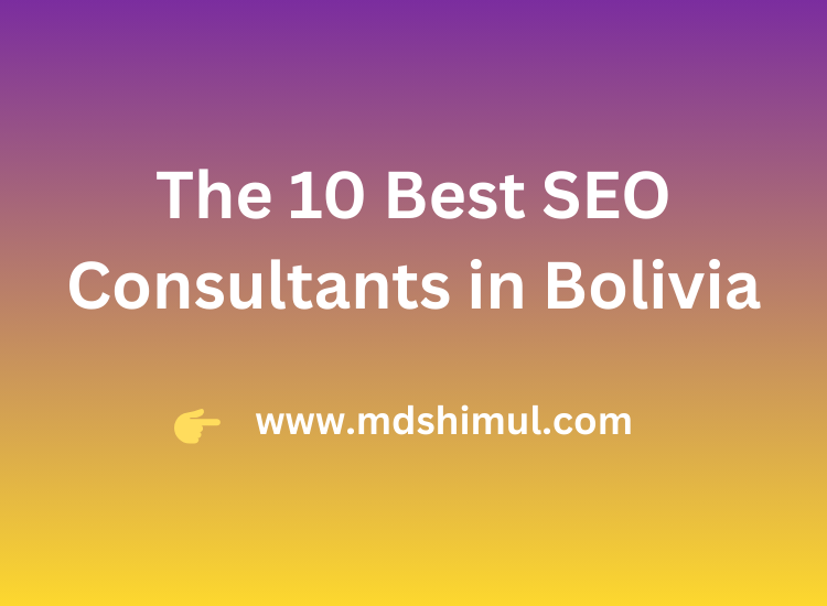 Top 10 Best SEO Consultants in Bolivia