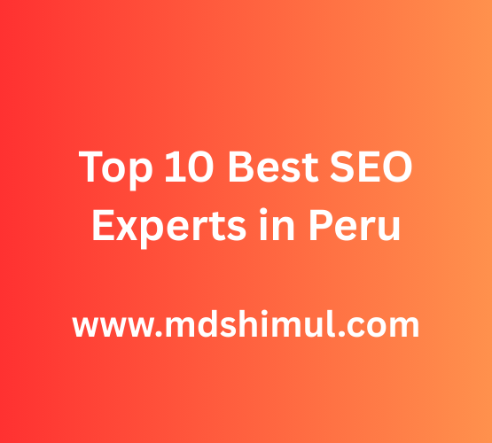Top 10 Best SEO Experts in Peru