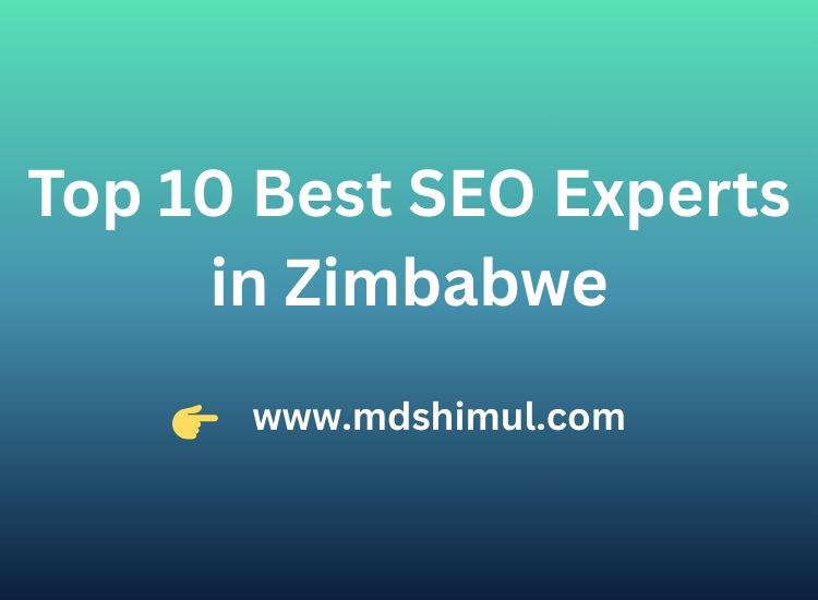 Top 10 Best SEO Experts in Zimbabwe