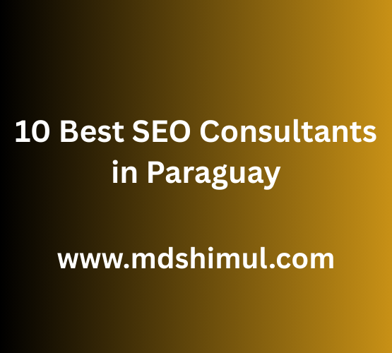 10 Best SEO Consultants in Paraguay