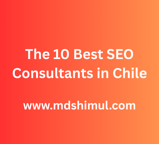 The 10 Best SEO Consultants in Chile